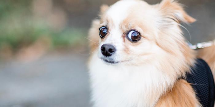 Niente è vero fino a prova contraria